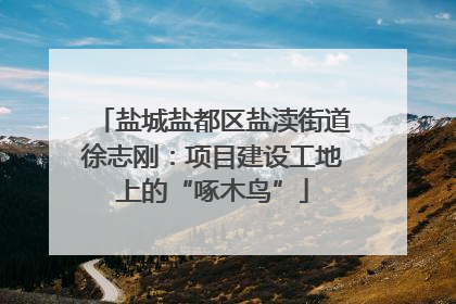 盐城盐都区盐渎街道徐志刚：项目建设工地上的“啄木鸟”